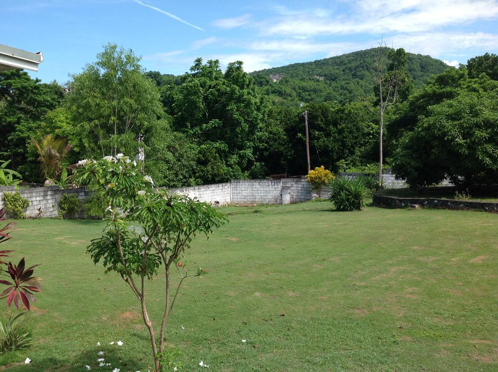 Maison d'hôtes Chillax On Our Farm à Ocho Ríos Extérieur photo